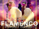 Photo précédente de Valence gala de danse flamenco