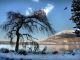 Photo précédente de Annecy L'arbre et l'oiseau du lac d'Annecy