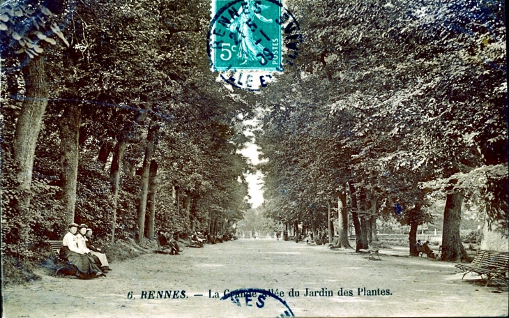 La Grande Allée du Jardin des Plantes, vers 1909 (carte postale ancienne). - Rennes