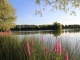 Photo suivante de Saint-Doulchard l'étang municipal de l'Epinière