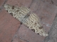Papillon de nuit (32 cm)