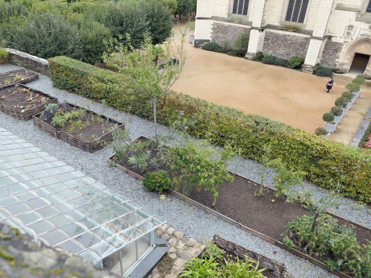 Le château : les jardins en terrasse  - Angers