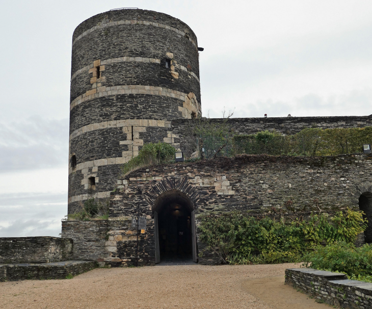 Le château : la tour du moulin - Angers