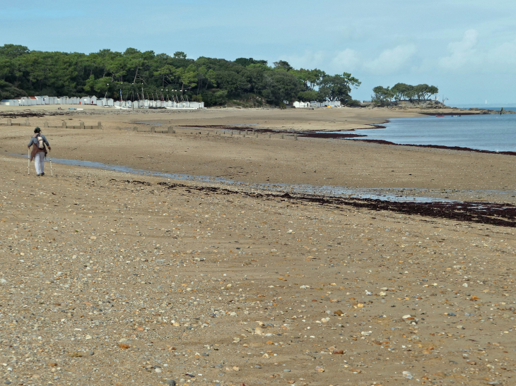 Photo Noirmoutier En L Le Le Bois De La Chaise Vu De La