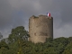 On s'accorde généralement à attribuer la construction du Château de Guise à Godefroy. L'abbé Pécheur dans son ouvrage (Histoire de la ville de Guise et de ses environs - 1851) précise que 