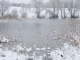 Photo précédente de Chamagnieu 27 janv 06 terrain de jeu gelé