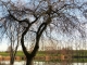 Photo suivante de Chèzeneuve Chèzeneuve. Le grand étang.