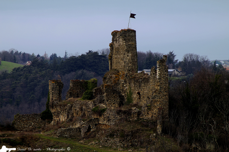 Ruine du château de la Bathie - Vienne