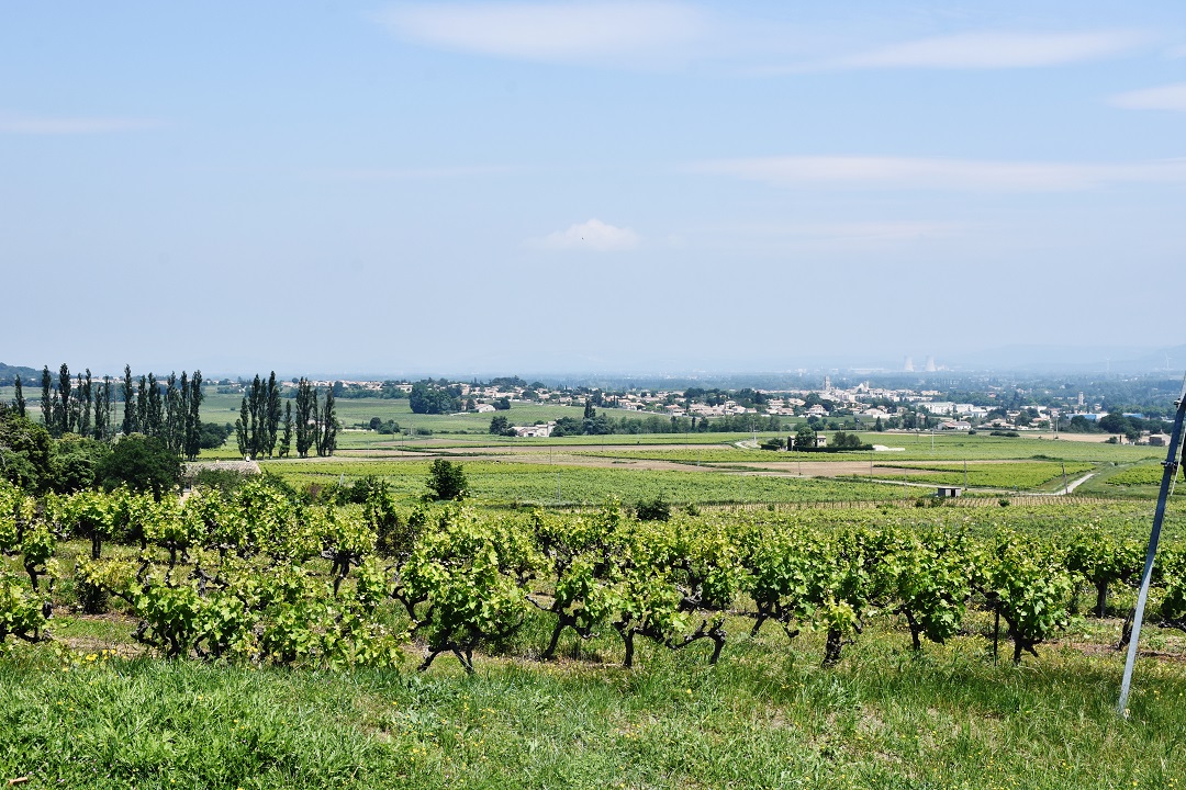 Photo Saint-Alexandre  30130  Panorama Saint-Alexandre  382794