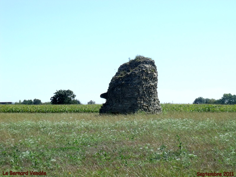 Photo à Le Bernard (85560) : Vestiges Gallo-Romains Appelés - Le ...