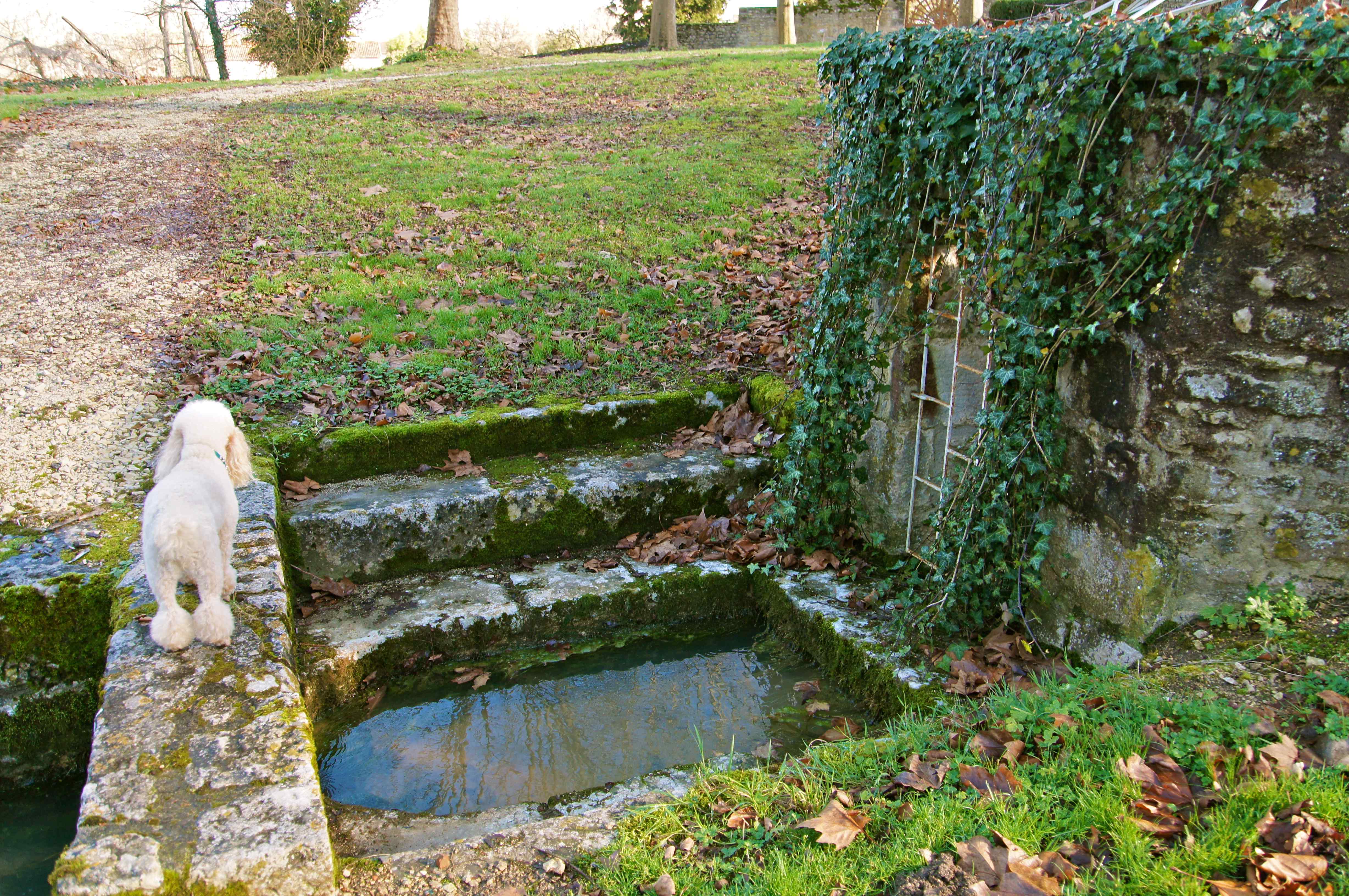 Photo Mouton  16460  Fontaine lavoir pied l   glise Saint