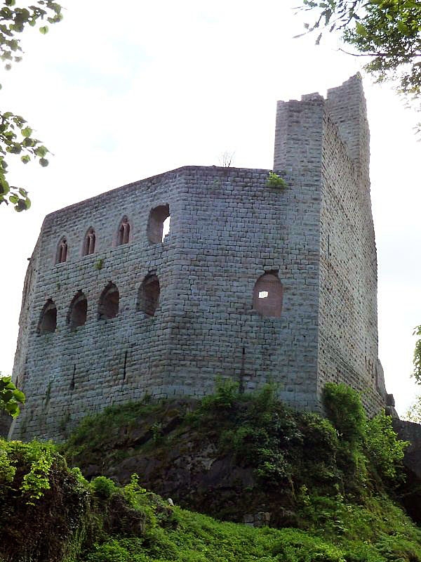 Le château de Spesbourg - Andlau