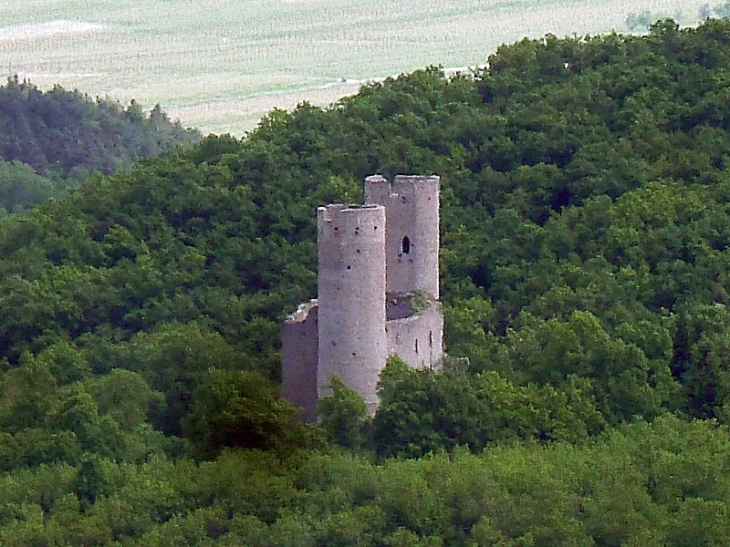  le château du Haut Andlau vu du Mont Sainte Odile