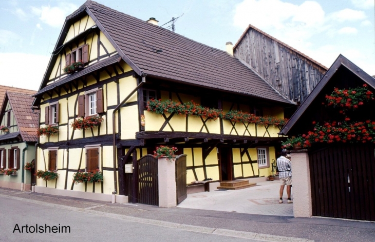 Le village - Artolsheim