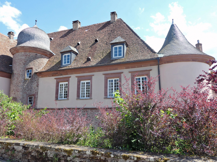 Le château - Birkenwald