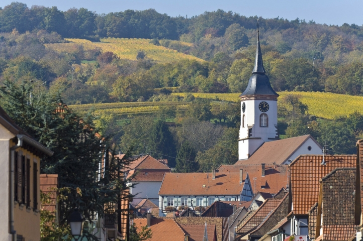 BISCHOFFSHEIM1