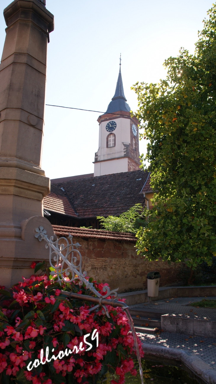  - Bischoffsheim