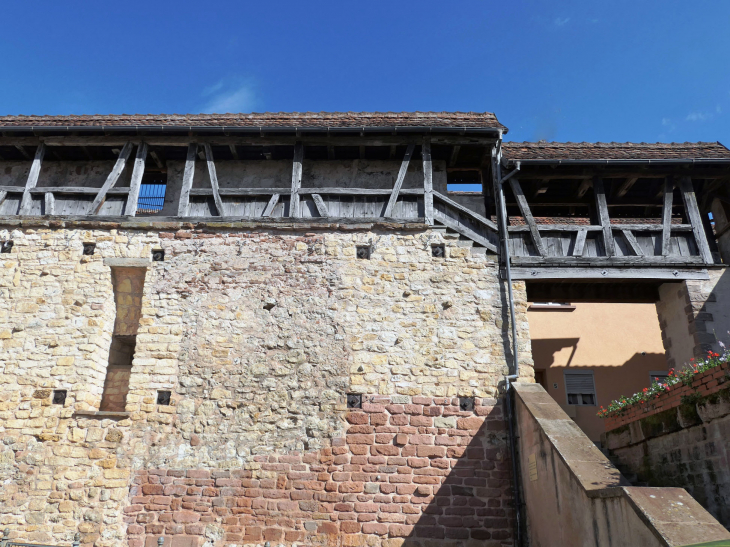 Le chemin de ronde des remparts - Bouxwiller