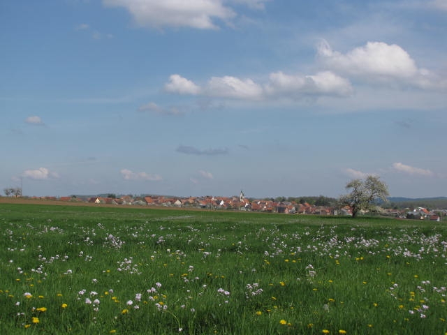 Le village de Bust vu du Neustraessel