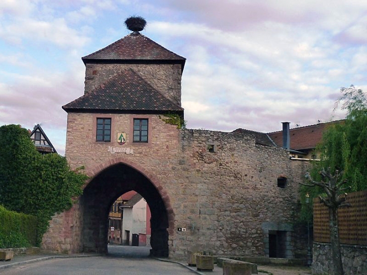 La porte de Blienschwiller - Dambach-la-Ville