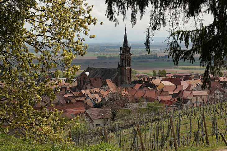 DAMBACH la VILLE –  www.baladesenfrance.info - GuyPeinturier - Dambach-la-Ville