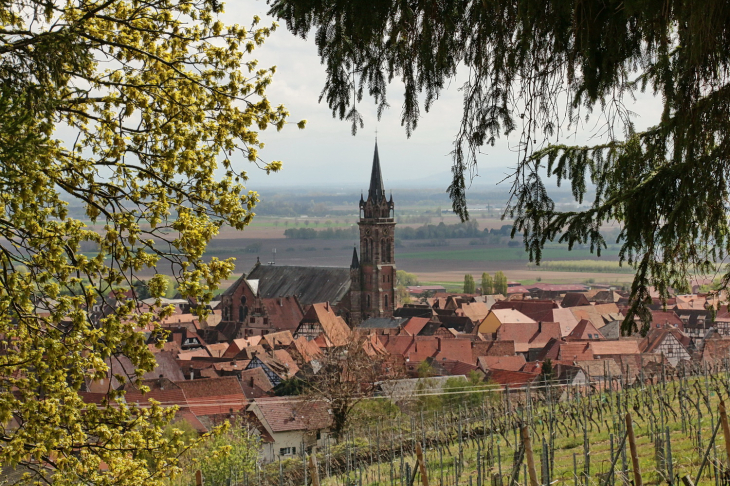 DAMBACH la VILLE –  www.baladesenfrance.info - GuyPeinturier - Dambach-la-Ville