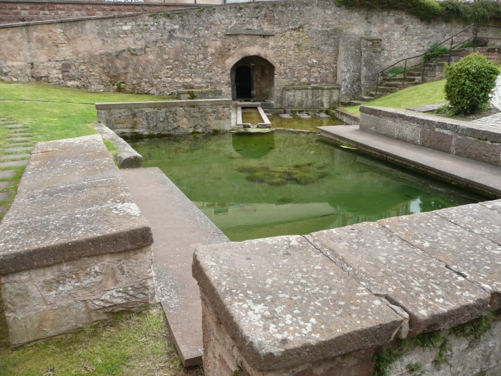 Lavoir du 16ième siécle - Dangolsheim