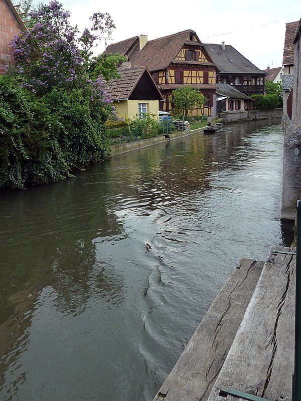 Au bord de la rivière - Ebersmunster