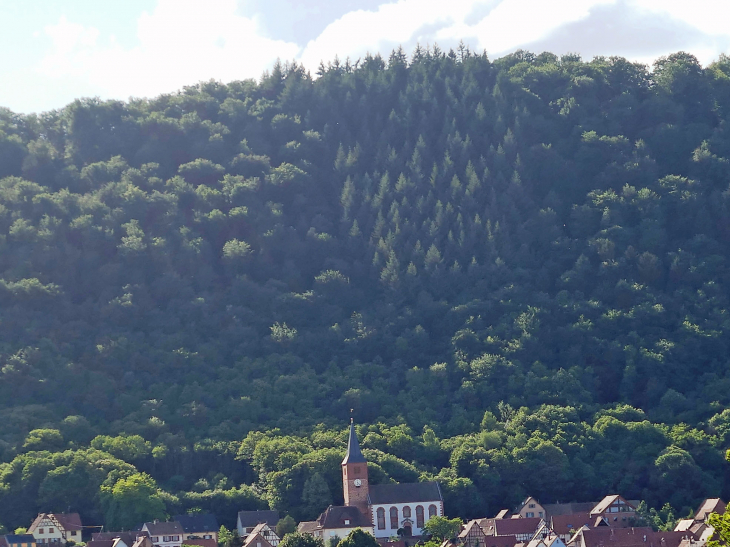 Le village sous la forêt - Ernolsheim-lès-Saverne