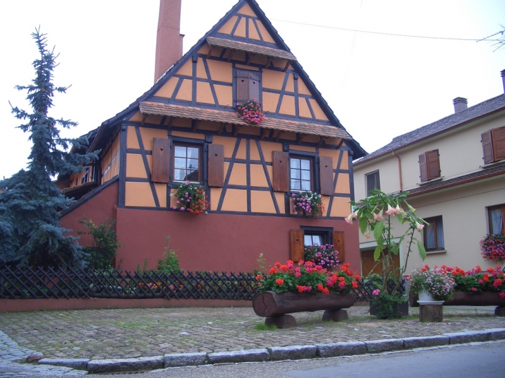 Rue des tonneliers - Gœrsdorf