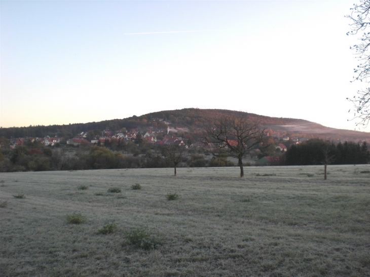 Matin givré en octobre - Gœrsdorf