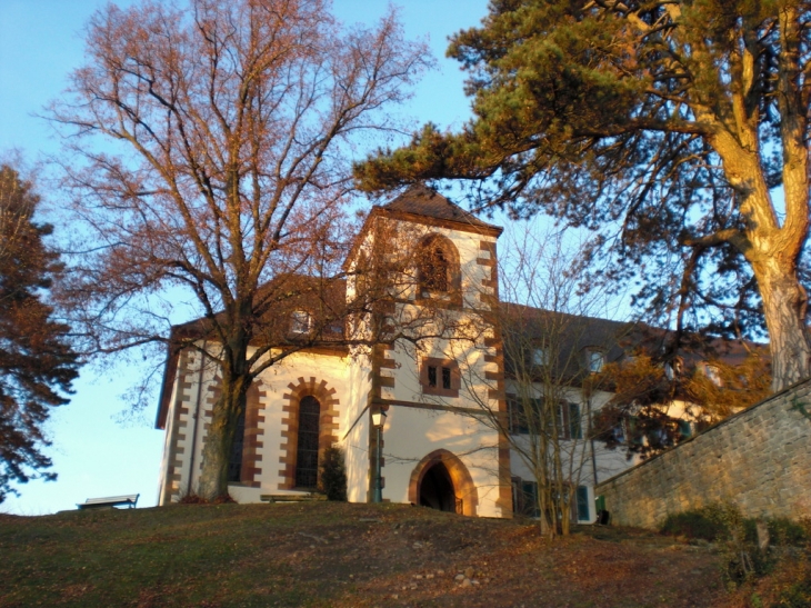 LE LIEBFRAUENBERG EN AUTOMNE - Gœrsdorf