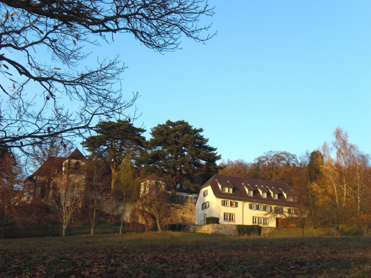 LE LIEBFRAUENBERG EN AUTOMNE - Gœrsdorf