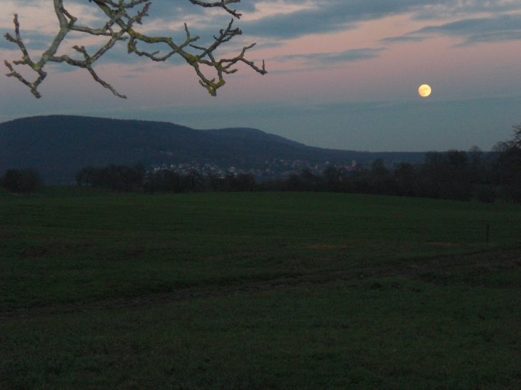  Woerth /Goersdorf photo prise à Elsasshausen - Gœrsdorf