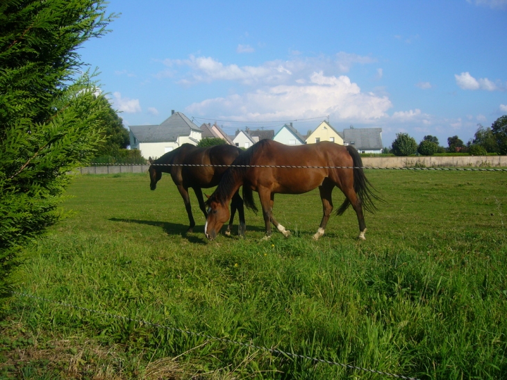 Pré de Hurtigheim