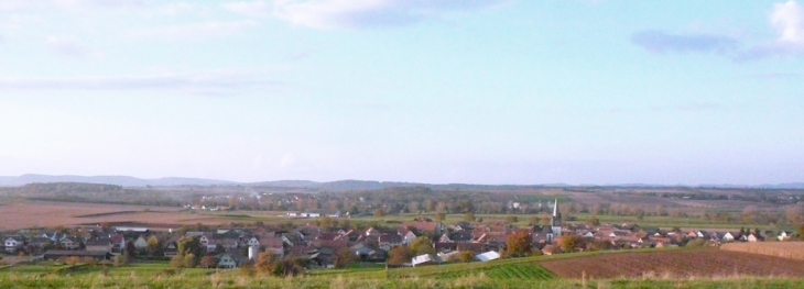 Vue du point culminant du village - Ingenheim