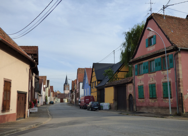 Entree du village en venant de Wilwiheim - Ingenheim