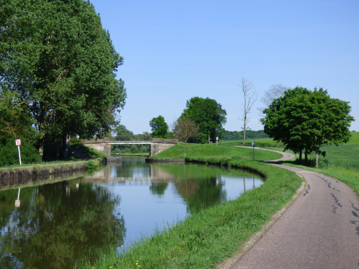 Canal de la Marne au Rhin et sa piste cyclabe - Ingenheim