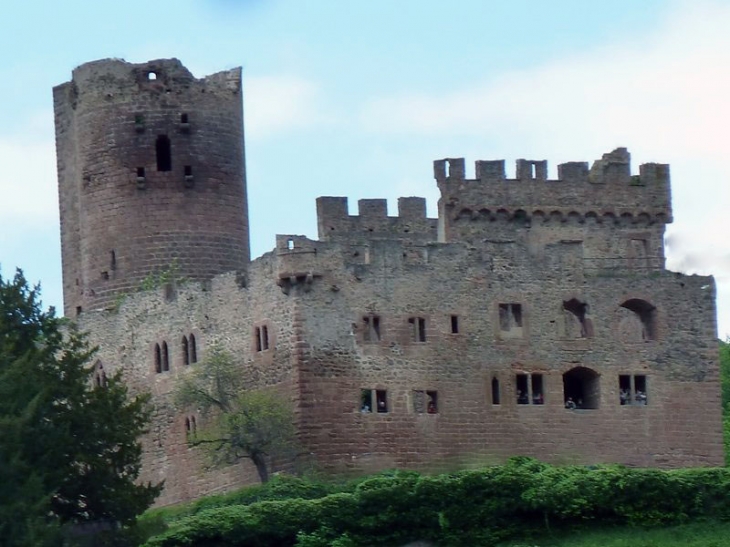 Les ruines du château - Kintzheim