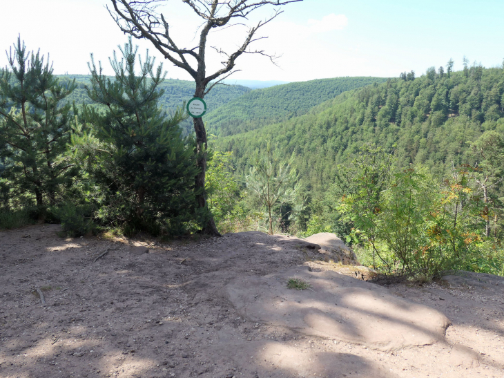 Sur le Sentier des Trois Rochers : le rocher du Corbeau - La Petite-Pierre