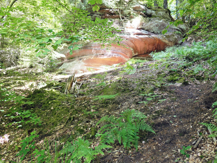 Sur le Sentier des Trois Rochers : le rocher des Païens - La Petite-Pierre