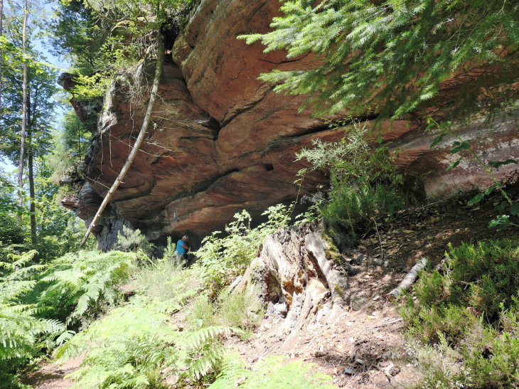 Sur le Sentier des Trois Rochers : le rocher des PaIens - La Petite-Pierre