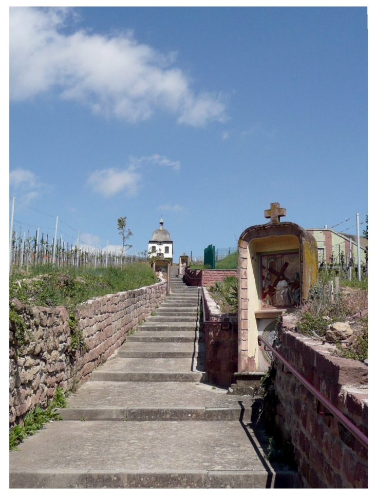 Escalier d'accès à la chapelle de la Vierge Douloureuse et son chemin de croix  - Marlenheim