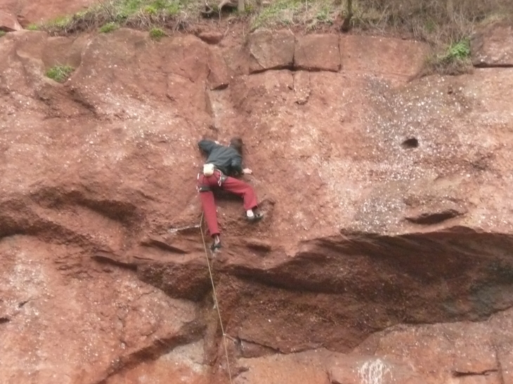 Escalade de la falaise du Krontal - Marlenheim