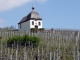 Dans le vignoble la chapelle de la Vierge Douloureuse