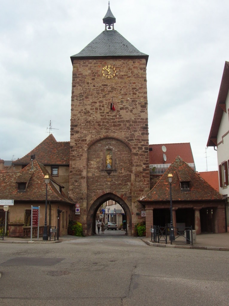 Molsheim (67120)