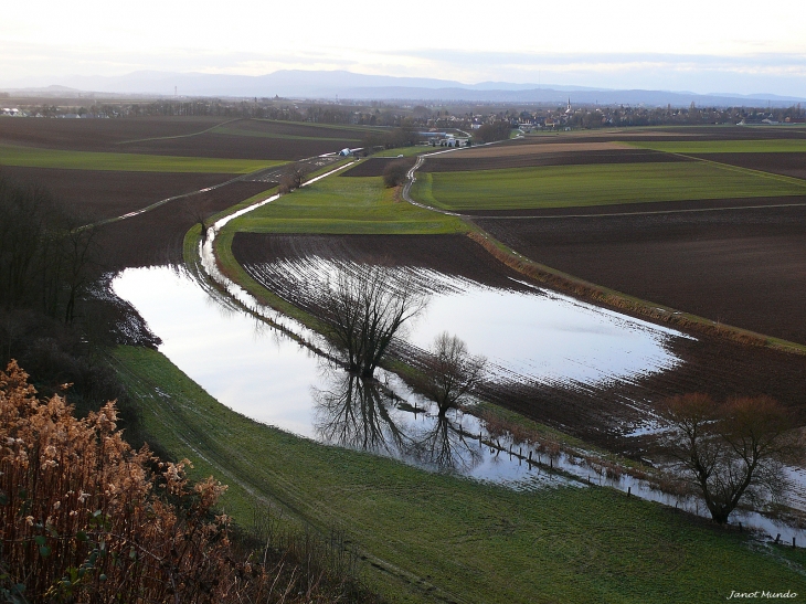 Après la neige ,les champs sont inondés - Mundolsheim