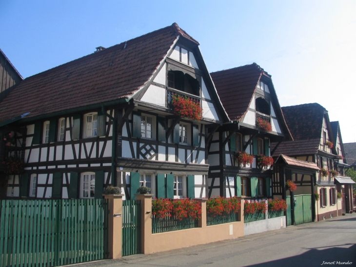 Anciennes fermes  rue Petite - Mundolsheim