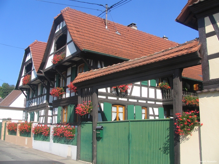 Anciennes maisons du village   rue Petite - Mundolsheim