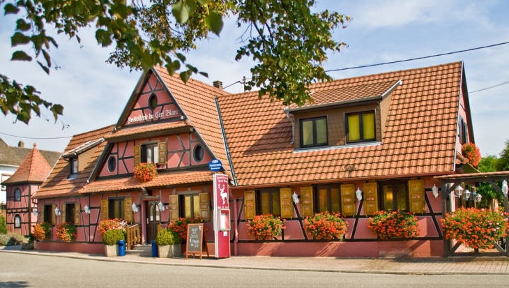 Hostellerie du cerf blanc - Neuhaeusel